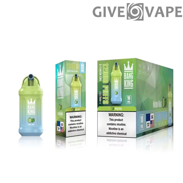 Bang King 12000 Puffs 0% 2% 3% 5% wiederaufladbarer Nikotin-Einweg-Vape-Großhandel – GiveVape – 15