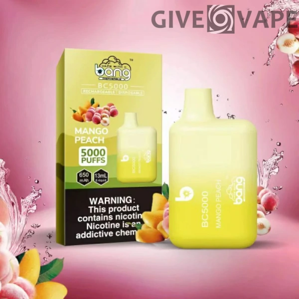 Bang BC 5000 Puffs 0% 2% 3% 5% Nikotinarm, wiederaufladbar, Einweg-Vapes, Pen, Großpackung, Großhandel kaufen – GiveVape – 12