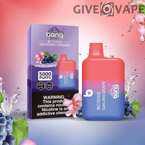 Bang BC 5000 Puffs 0% 2% 3% 5% Nikotinarm, wiederaufladbar, Einweg-Vapes, Pen, Großpackung, Großhandel kaufen – GiveVape – 7