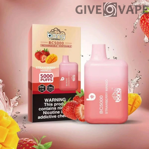 Bang BC 5000 Puffs 0% 2% 3% 5% Nikotinarm, wiederaufladbar, Einweg-Vapes, Pen, Großpackung, Großhandel kaufen – GiveVape – 10