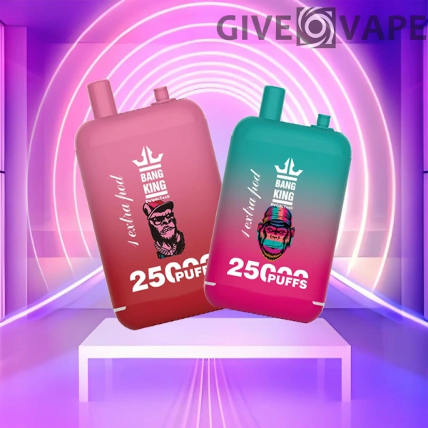 Bang King 25000 Puffs Dual Pods 0% 2% 3% 5% Nikotinarm, wiederaufladbar, Einweg-Vapes, Pen, Großpackung, Großhandel kaufen – GiveVape – 1
