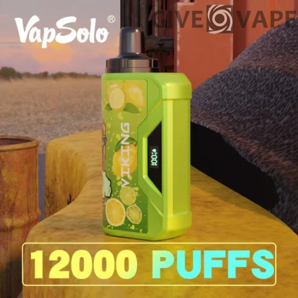 VapSolo Viking 12000 Puffs 2% 5% Nikotinarm, wiederaufladbar, Einweg-Vapes, Pen, Großpackung, Großhandel kaufen – GiveVape – 1