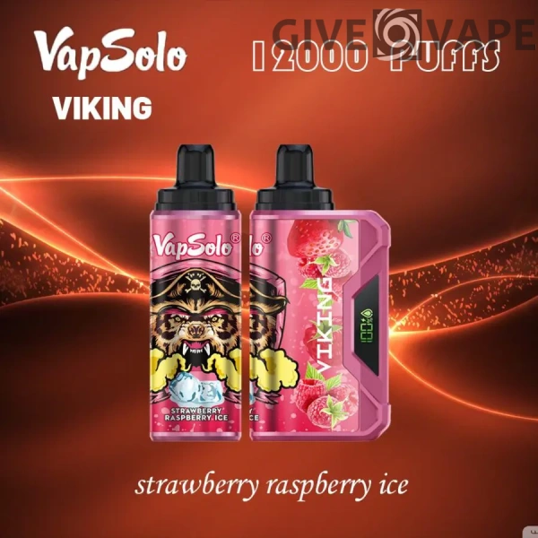 VapSolo Viking 12000 Puffs 2% 5% Nikotinarm, wiederaufladbar, Einweg-Vapes, Pen, Großpackung, Großhandel kaufen – GiveVape – 6