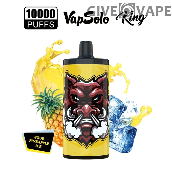 Vapsolo King 10000 Puffs 2% 5% Nikotinarm, wiederaufladbar, Einweg-Vapes, Pen, Großpackung, Großhandel kaufen – GiveVape – 15