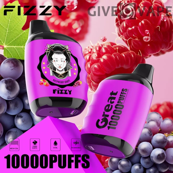 Fizzy Great 10000 Puffs 2% 5% Nikotinarm, wiederaufladbar, Einweg-Vapes, Pen, Großpackung, Großhandel kaufen – GiveVape – 5