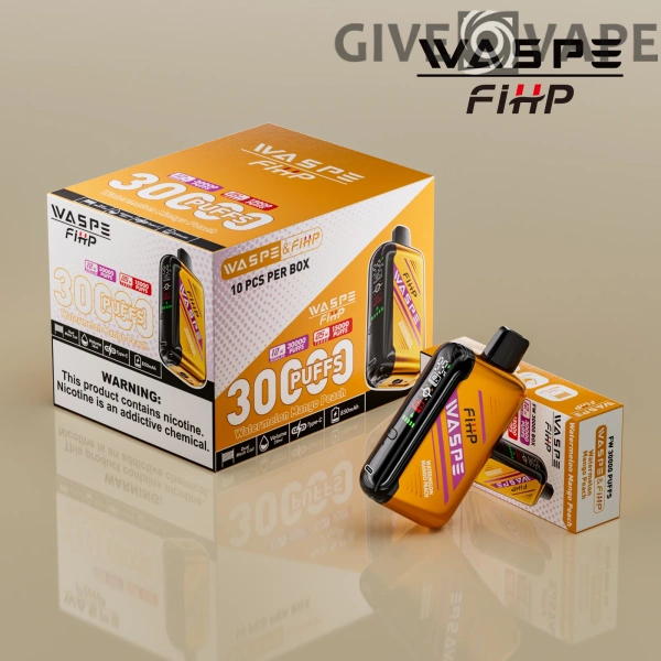 WASPE FIHP 30000 Puffs Dual Mesh 0% 2% 5% LED-Anzeige Nikotinarm, wiederaufladbar, Einweg-Vapes, Pen, Großpackung, Großhandel kaufen – GiveVape – 2